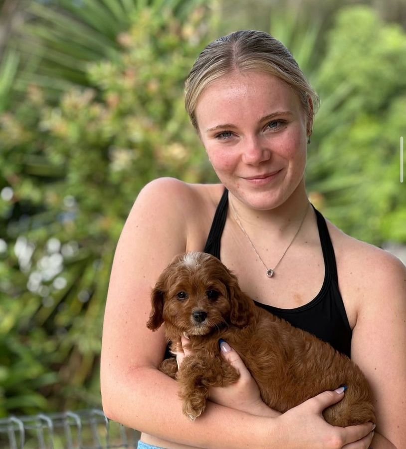 Photo of Lily Anderson with their Cavoodle